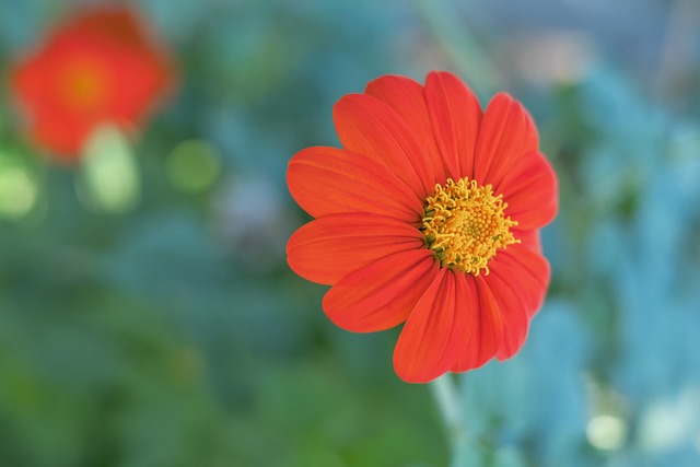 不仅是两位 不仅是两位