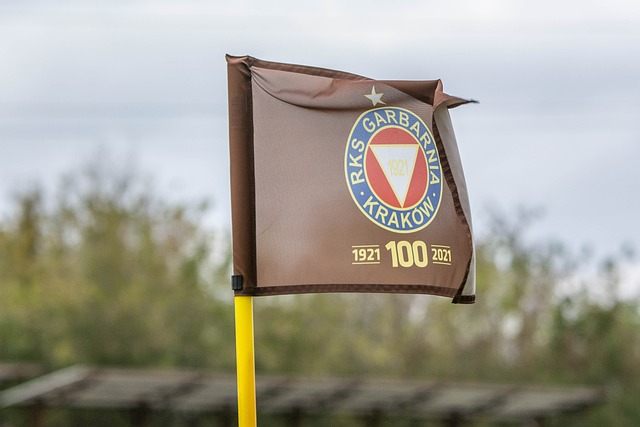 确保所有参 确保所有参