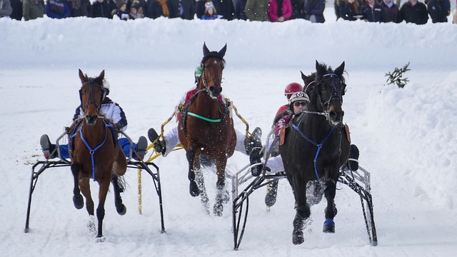我们拭目以 我们拭目以
