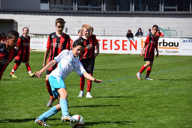 必会针对对 必会针对对