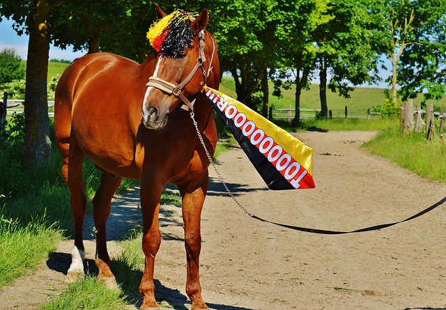 如何提高球 如何提高球