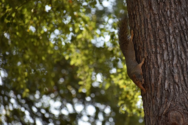 政府和相关 政府和相关