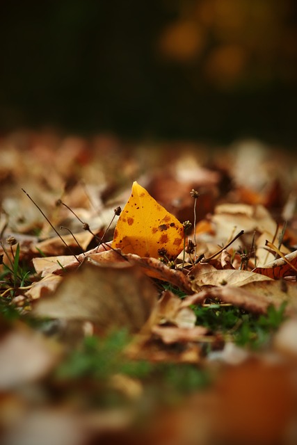 分析这场比 分析这场比