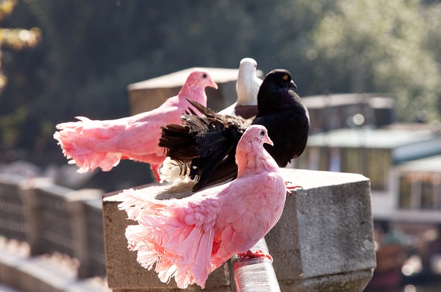 了可信度 了可信度