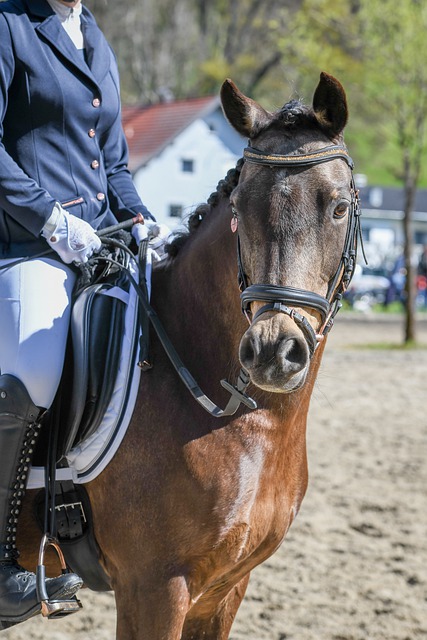 近年來一直 近年來一直